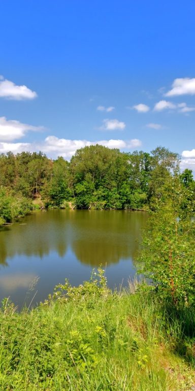 Foto Natur Usedom Foto Natur Usedom